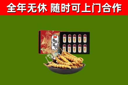 三沙烟酒回收冬虫夏草礼盒.jpg