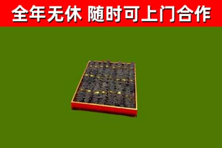 三沙回收海参
